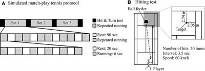 Physiological demands in simulated tennis matches and hitting tests take account of the translational and rotational kinetic energy ratio of the ball